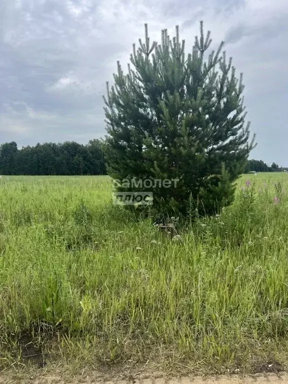 Участок в Тюменская область, Тюменский муниципальный округ, ... - Фото 0