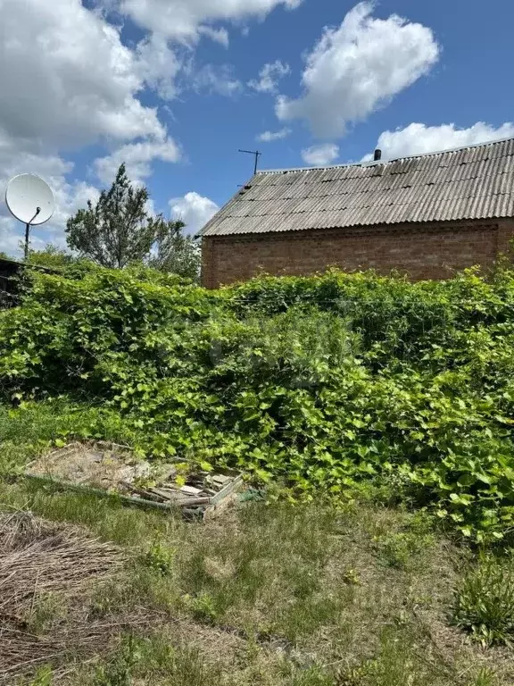 Дом в Белгородская область, Валуйский муниципальный округ, с. ... - Фото 1