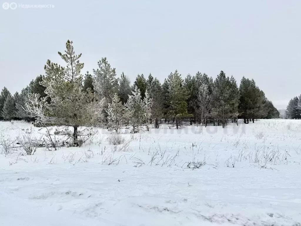 Участок в Новый Буян, село Новый Буян, Тенистая улица (24 м) - Фото 1