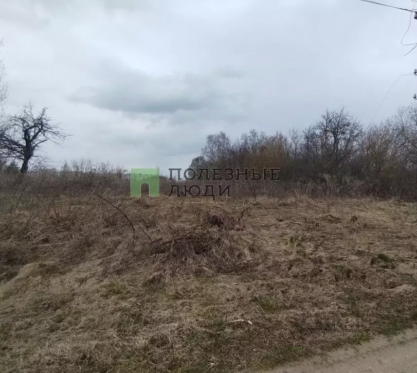 Участок в Орловская область, Орловский муниципальный округ, д. ... - Фото 1