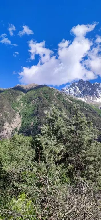 Участок в Кабардино-Балкария, Эльбрусский район, с. Нейтрино ул. ... - Фото 2