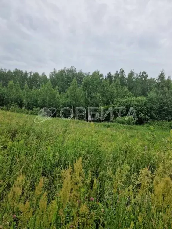 Участок в Тюменская область, Тюменский район, Новокаменский кп ул. ... - Фото 0