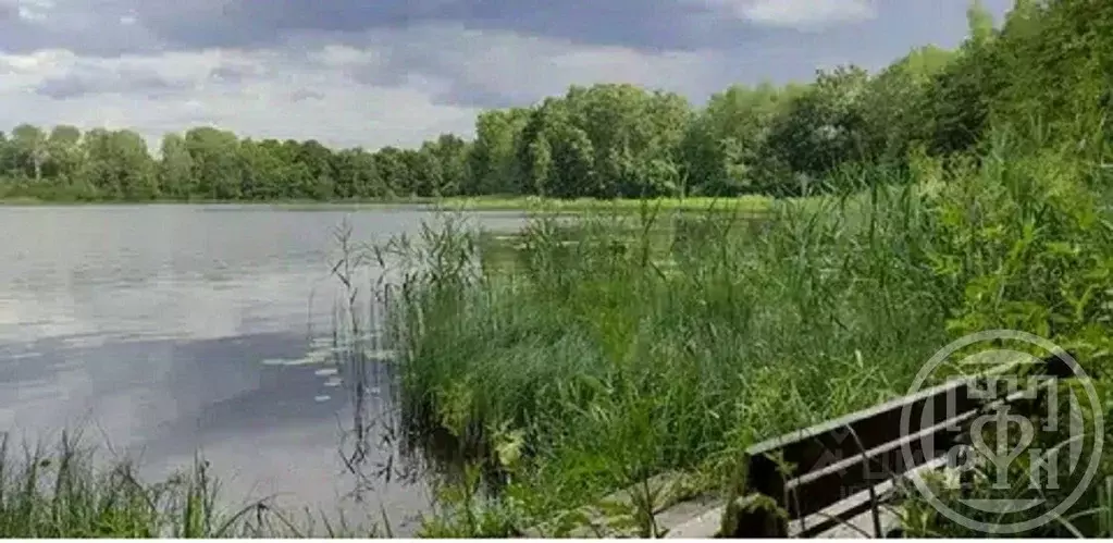 Дом в Ленинградская область, Лужский район, Серебрянское с/пос, д. ... - Фото 1