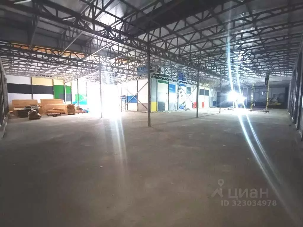 Производственное помещение в Владимирская область, Александров пос. ... - Фото 1