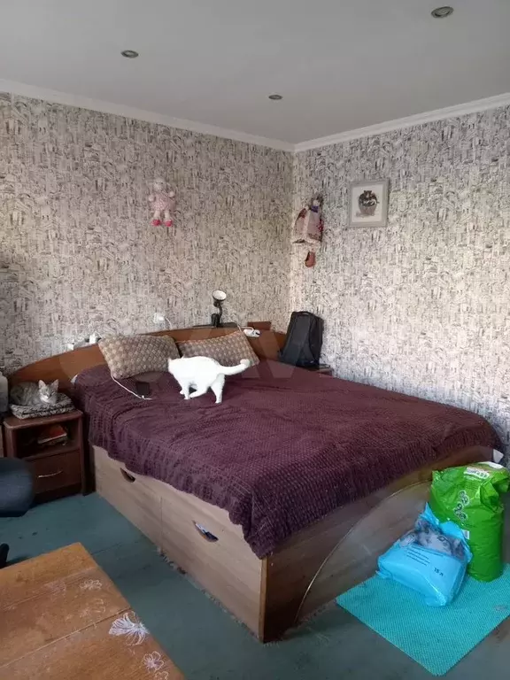 1-к. квартира, 23,5 м, 1/5 эт. - Фото 0