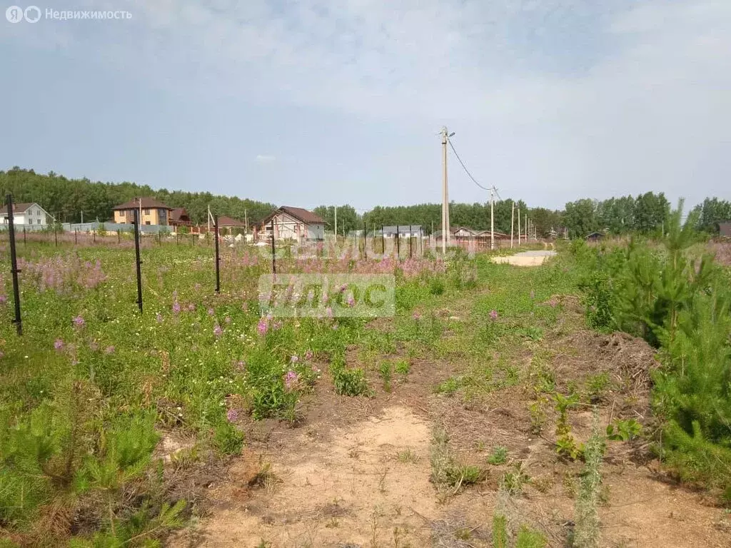 Участок в Сысертский городской округ, деревня Шайдурово, Мандариновая ... - Фото 1