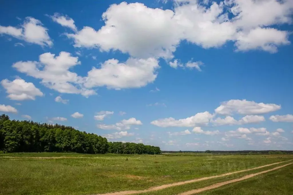 Участок в Тверская область, Калининский муниципальный округ, д. ... - Фото 1
