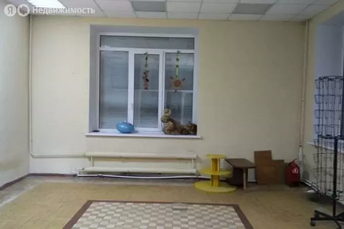 Помещение свободного назначения (71 м) - Фото 0