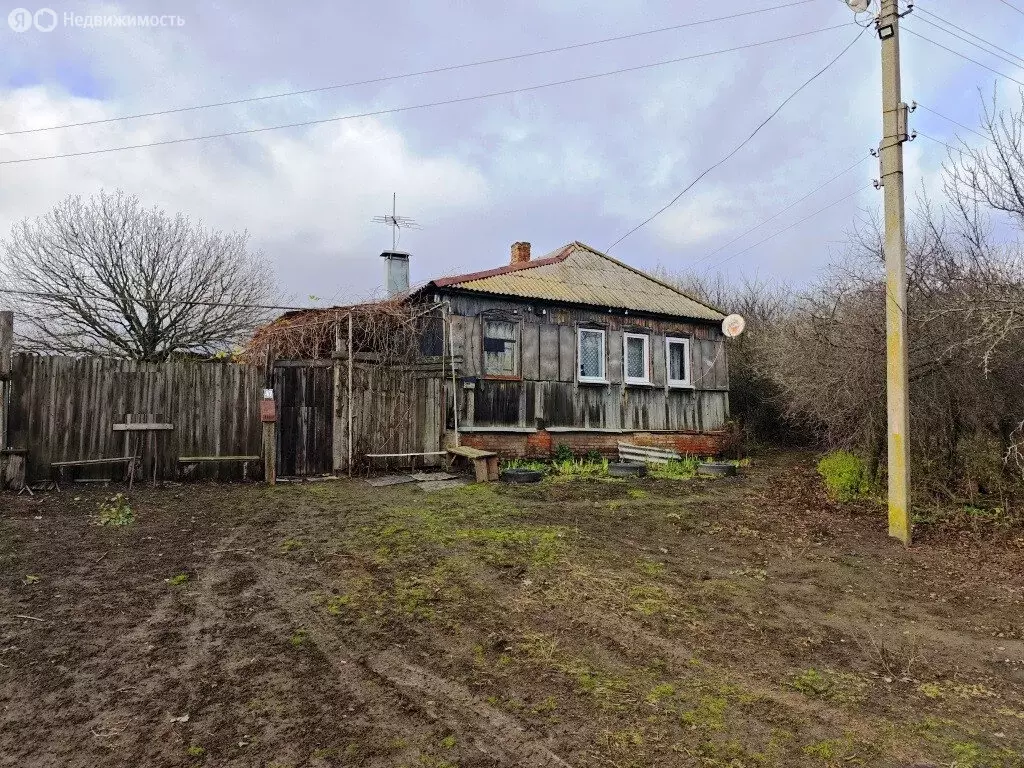 Дом в Высокский сельсовет, деревня Звягинцево, 47 (42 м) - Фото 1