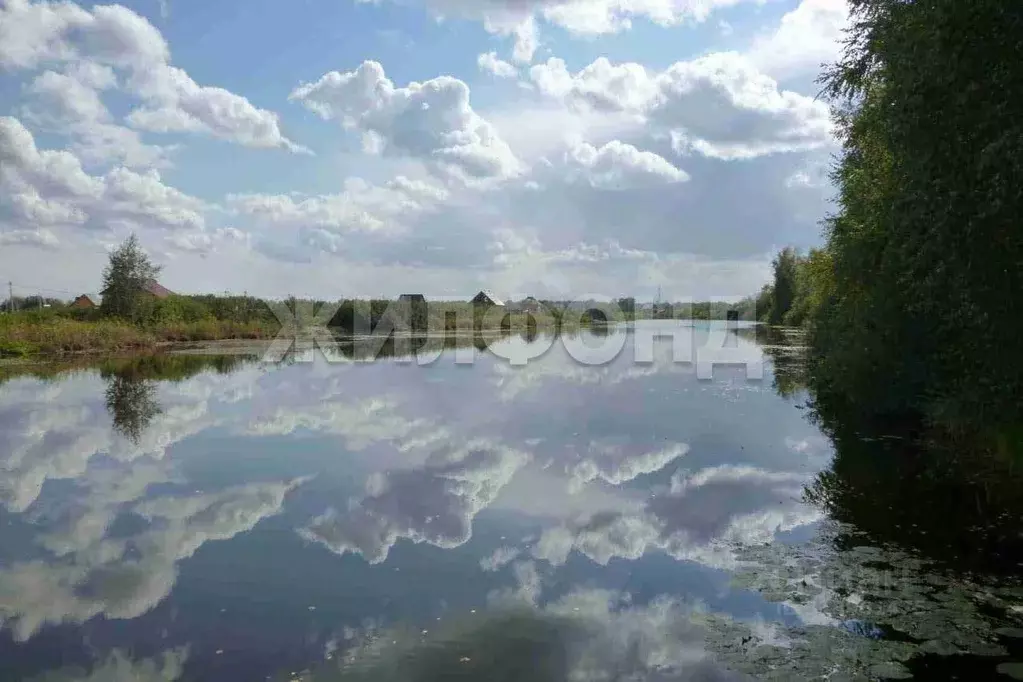 Участок в Новосибирская область, Колыванский район, Лира садовые ... - Фото 1