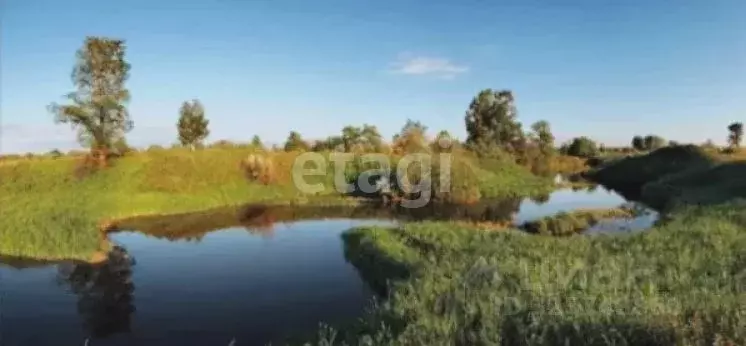 Участок в Пермский край, Краснокамский муниципальный округ, пос. ... - Фото 2