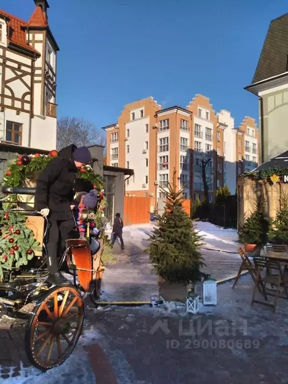 2-к кв. Калининградская область, Зеленоградск Курортный просп., 14А ... - Фото 2