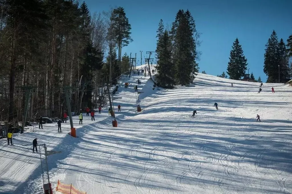 Участок в Ленинградская область, Приозерский район, Красноозерное ... - Фото 1
