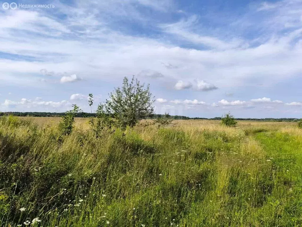 Участок в посёлок Луговое, Яблочная улица (7.56 м) - Фото 2