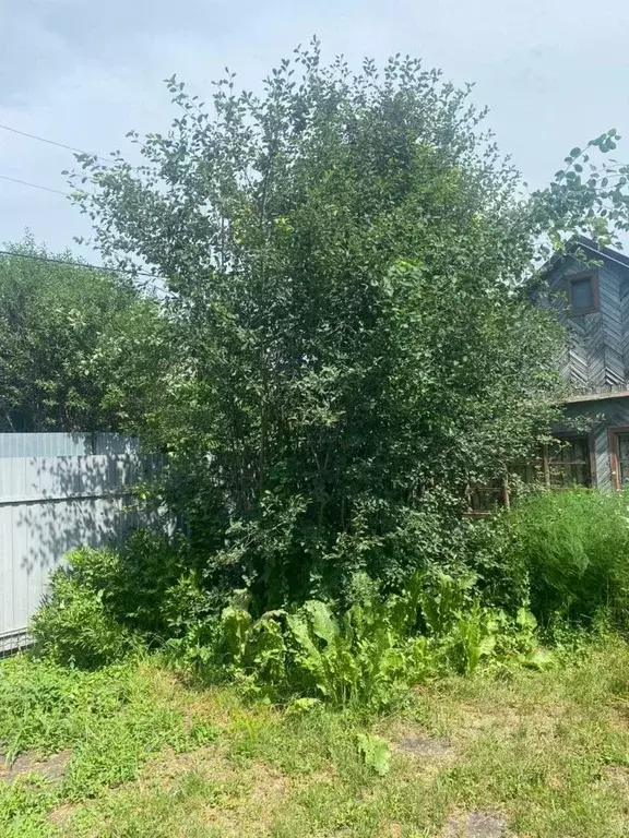 Участок в Новосибирская область, Новосибирск Строитель ТСН, 102 (10.0 ... - Фото 2