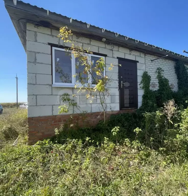 Дом в Саратовская область, Балашовский район, с. Барки ... - Фото 2