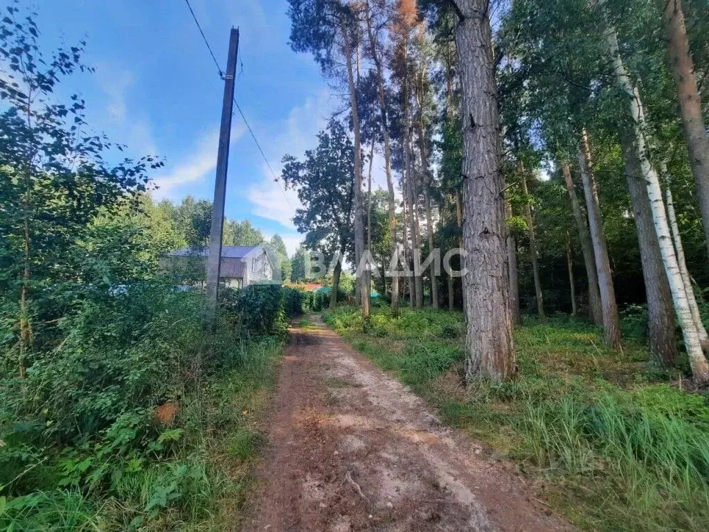 Участок в Владимирская область, Суздальский район, Боголюбовское ... - Фото 0