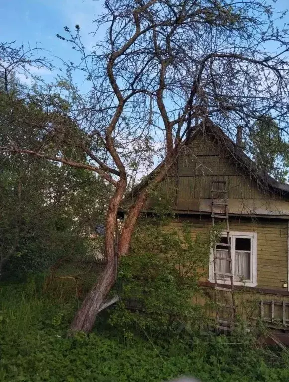 Дом в Ленинградская область, Кировское городское поселение, Грибное ... - Фото 1