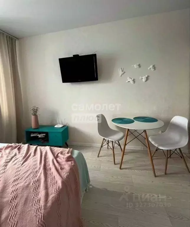 Студия Пензенская область, Пензенский район, Засечный сельсовет, с. ... - Фото 1