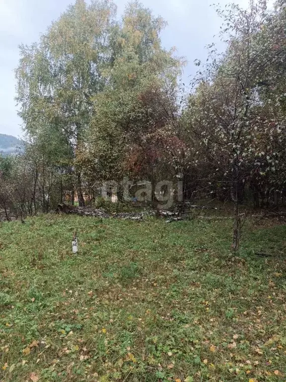 Участок в Алтай, Чемальский район, с. Анос ул. Чорос-Гуркина (10.0 ... - Фото 1
