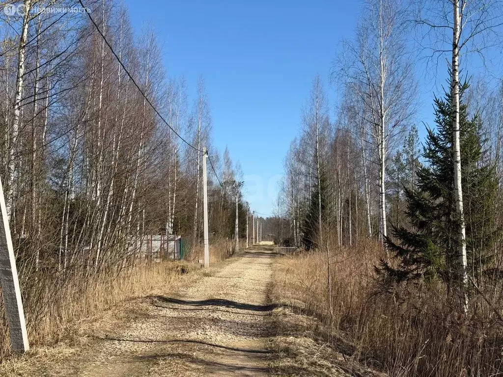 Дом в Ленинградская область, Гатчинский муниципальный округ, ... - Фото 2