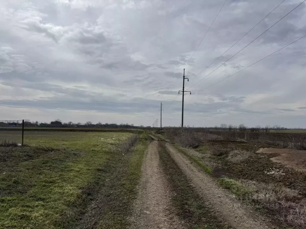 Участок в Краснодарский край, Кавказский район, Казанская ст-ца  (12.4 ... - Фото 2