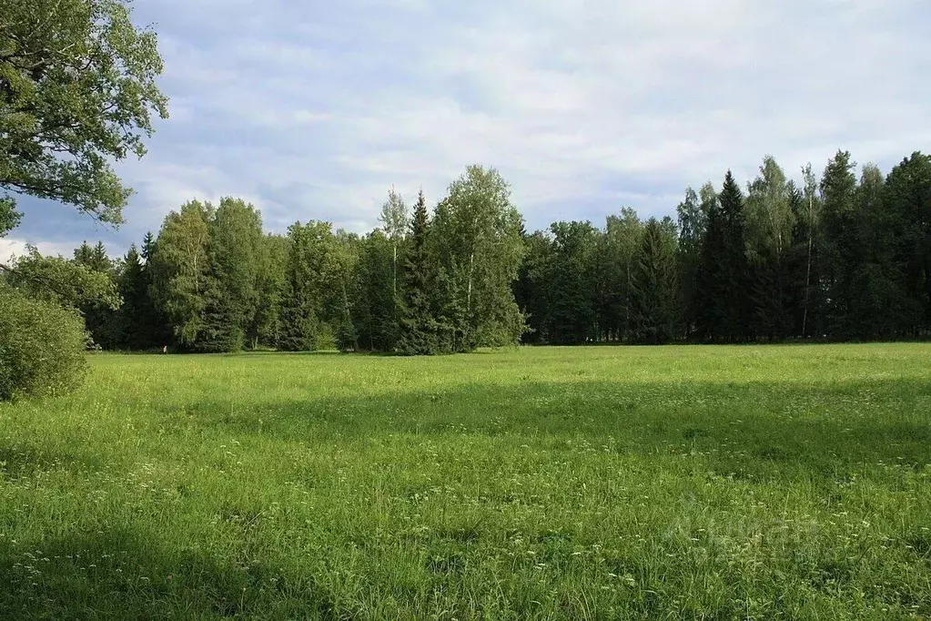 Участок в Челябинская область, Сосновский район, Кременкульское с/пос, ... - Фото 0