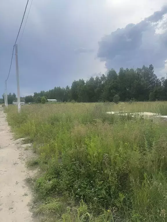 Участок в Московская область, Богородский городской округ, д. Исаково ... - Фото 1