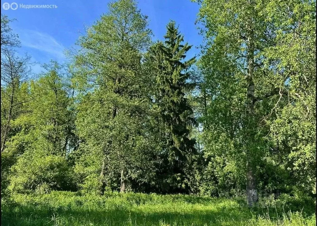 Участок в Москва Марушкинское поселение, д. Крекшино, ул. Запрудная ... - Фото 2