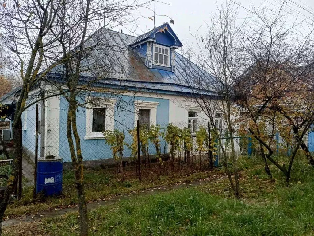 Дом в Нижегородская область, Нижний Новгород ул. Курчатова, 19 (48 м) - Фото 1