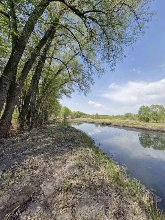 Дом в Воронежская область, Воронеж ул. Совхозная (85 м) - Фото 0