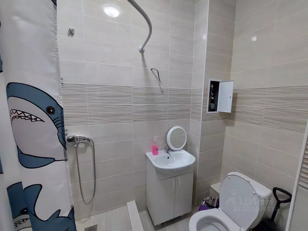 Студия Санкт-Петербург аллея Арцеуловская, 9 (23.4 м) - Фото 2