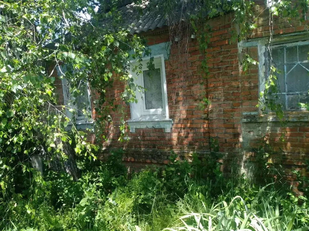 Купить Дом В Белгородской Области Грайворонском Районе