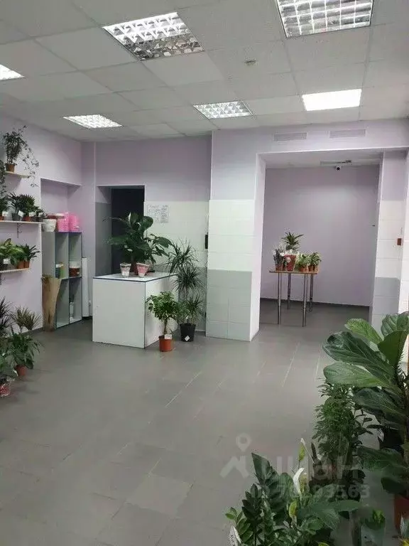 Торговая площадь в Омская область, Омск ул. Серова, 16 (15.0 м) - Фото 0
