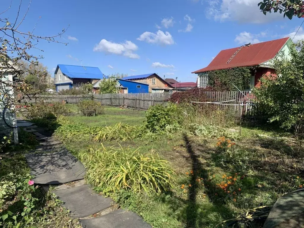 Участок в Омская область, Омск Сибиряк СНТ, аллея 1-я, 226 (6.0 сот.) - Фото 2