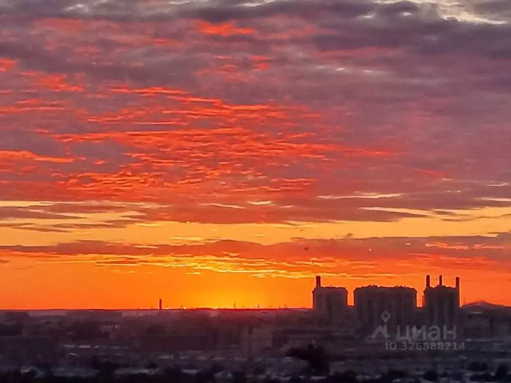 3-к кв. Санкт-Петербург просп. Космонавтов, 61к1 (84.0 м) - Фото 2