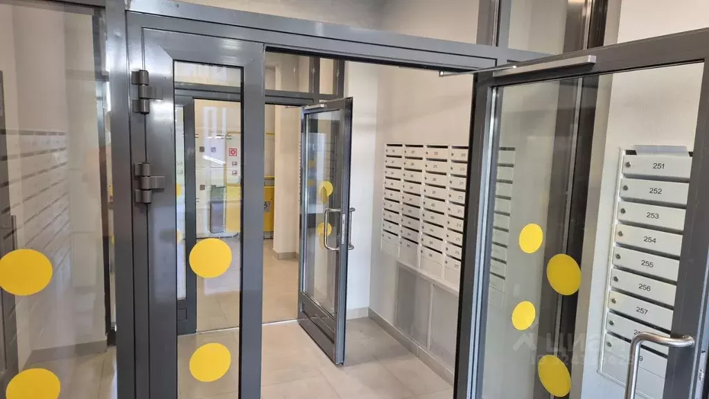 Студия Санкт-Петербург ул. Пахомовская, 10к4 (21.0 м) - Фото 1