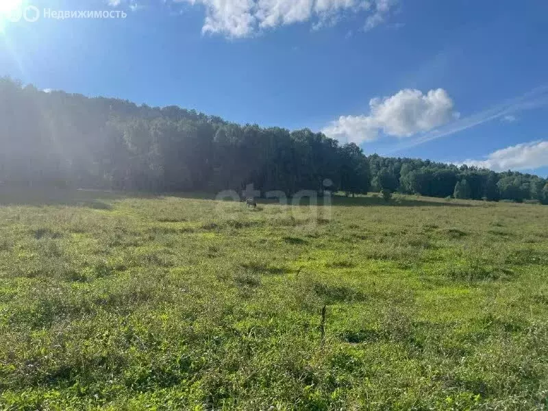 Участок в село Бирюля, Таркольская улица (15 м) - Фото 2