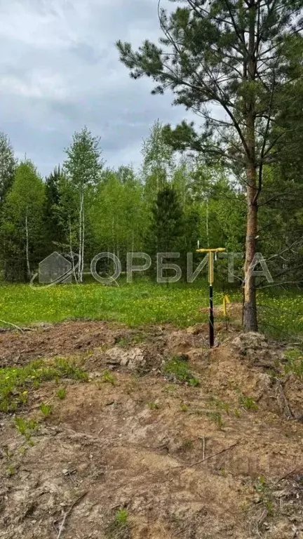 Участок в Тюменская область, Тюменский район, Новокаменский кп ул. ... - Фото 0