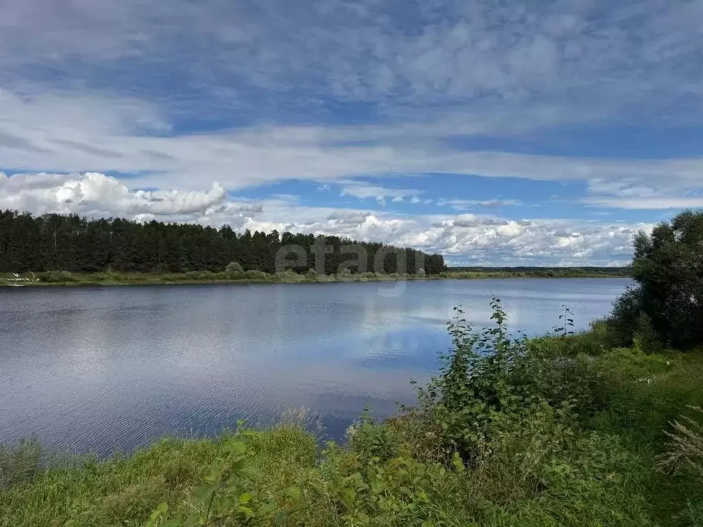 Участок в Тверская область, Калининский муниципальный округ, д. ... - Фото 2