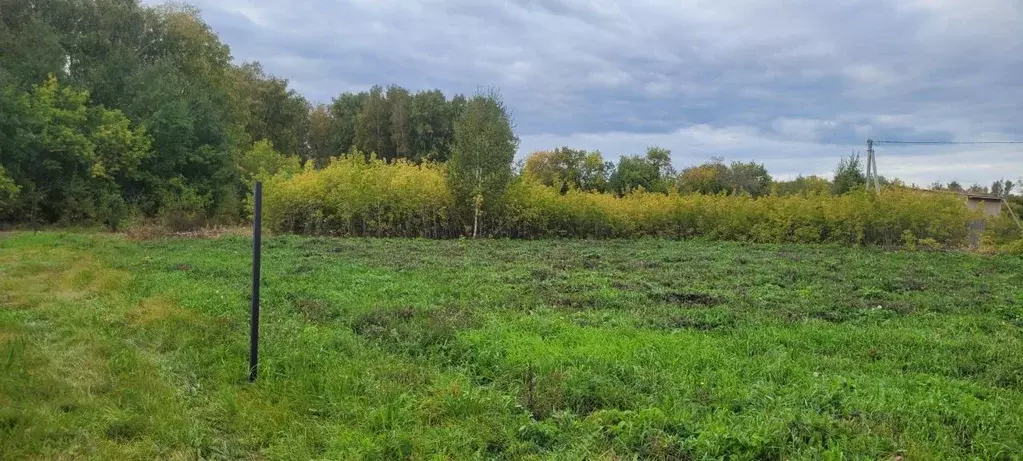 Участок в Омская область, Омский район, Магистральное с/пос, Деревня ... - Фото 1