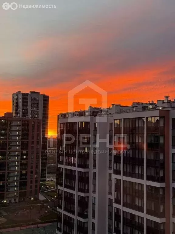 1-комнатная квартира: Санкт-Петербург, Арцеуловская аллея, 17 (45 м) - Фото 2