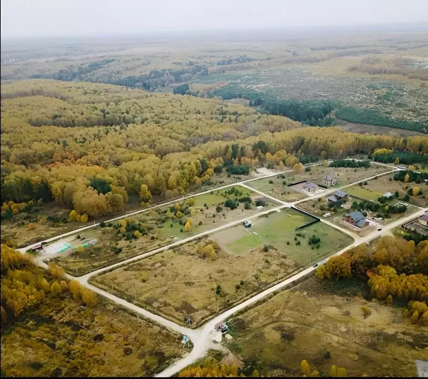 Участок в Владимирская область, Суздальский район, Новоалександровское ... - Фото 0