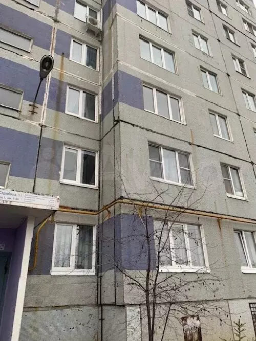 3-к. квартира, 66,2 м, 2/9 эт. - Фото 1