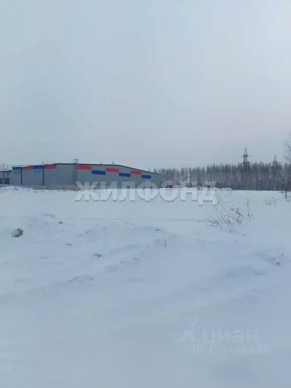 Участок в Новосибирская область, Новосибирский район, Станционный ... - Фото 2