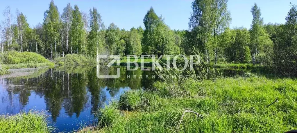 Участок в Костромская область, Костромской район, Кузьмищенское с/пос, ... - Фото 2