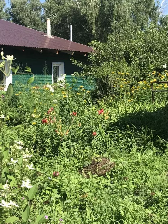 Дом в Алтайский край, Барнаул городской округ, пос. Плодопитомник ул. ... - Фото 1