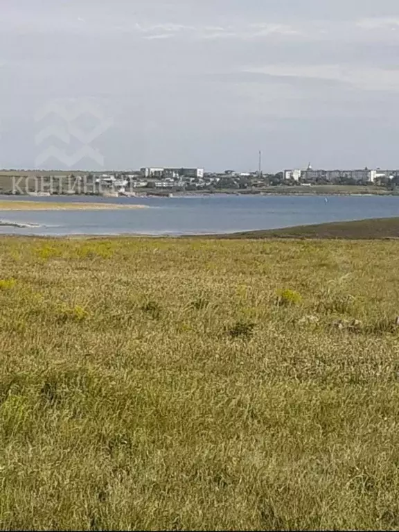 Участок в Крым, Черноморский район, с. Новоивановка ул. Цветочная, 5 ... - Фото 0