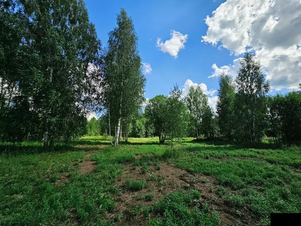 Участок в Ленинградская область, Тосненский район, Любанское городское ... - Фото 1