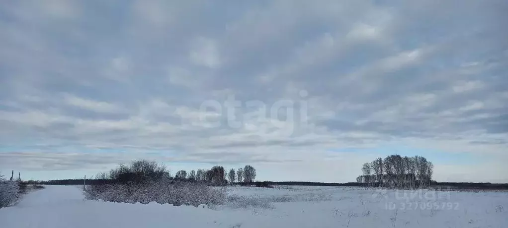 Участок в Новосибирская область, Мошковский район, с. Томилово  (99.91 ... - Фото 2